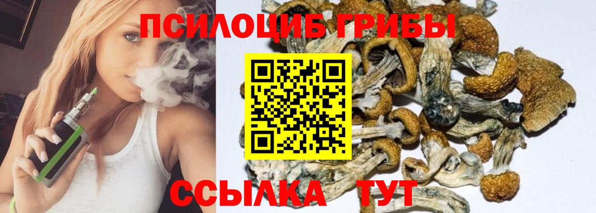 Галлюциногенные грибы Cubensis  Вход с VPN  Алушта 
